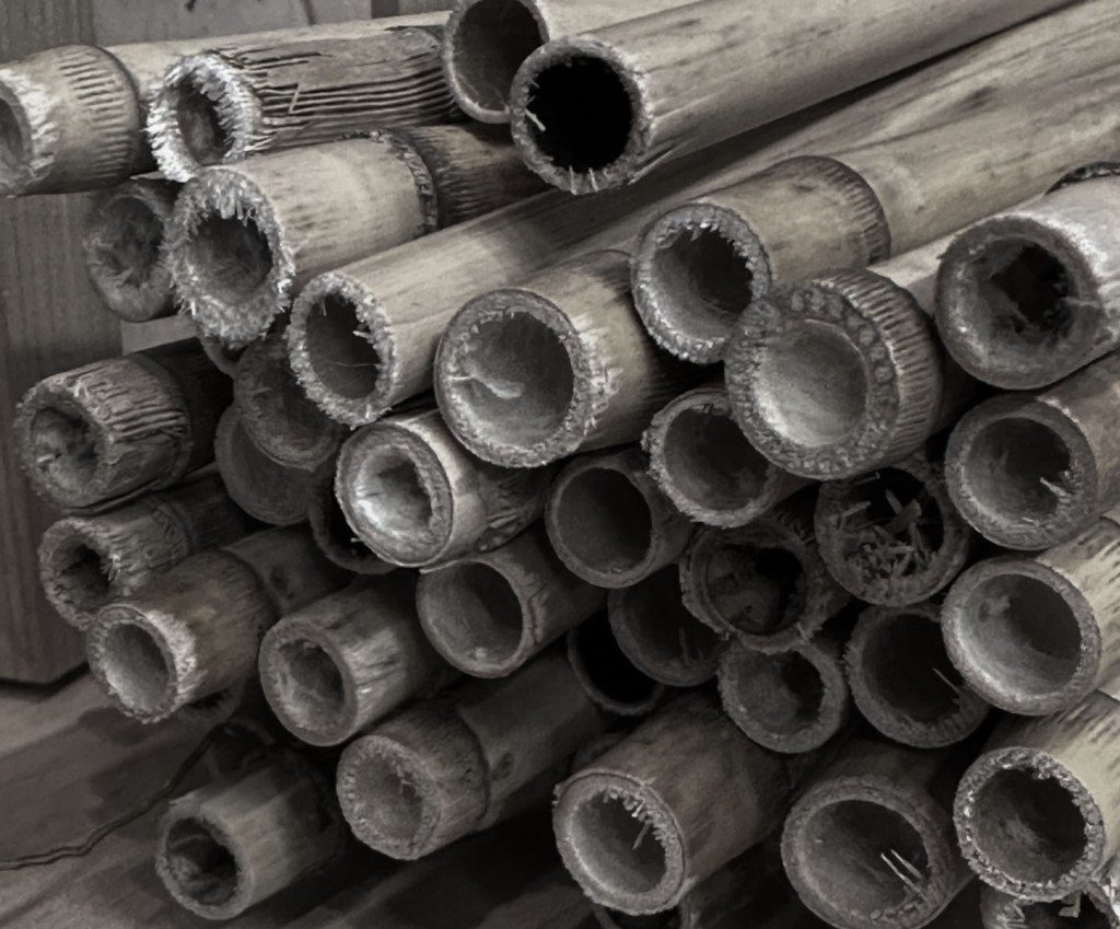 Mason Bee Stewardship